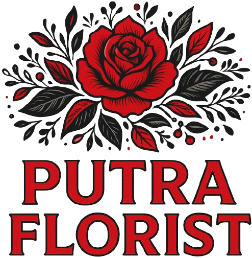 logo__1_-removebg-preview